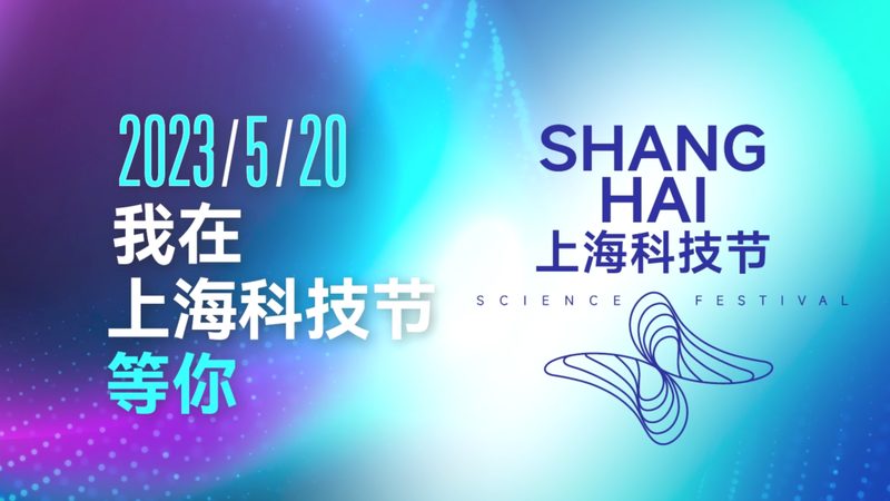 外贸网站技术外包：评价排名的背后逻辑与真实标准